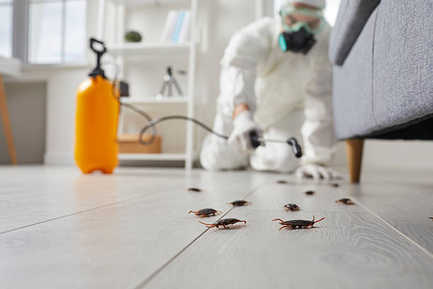 Trusted Rodent Control service in La Grande, OR - Nex Pest Control