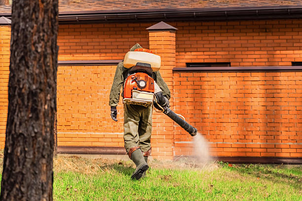 Trusted Ant Control service in La Grande, OR - Nex Pest Control
